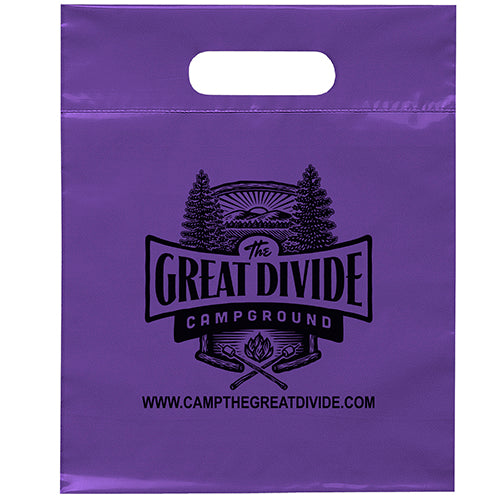 Die Cut Handle Bag 9½ x 12