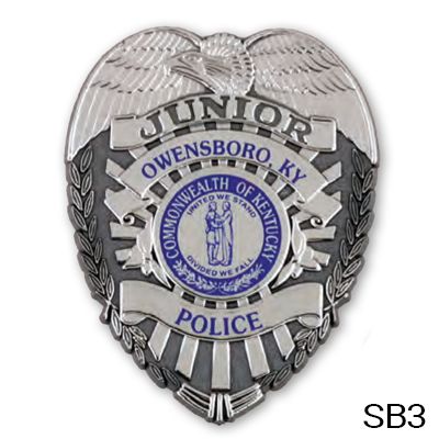 Plastic Badges - Pin or Clip