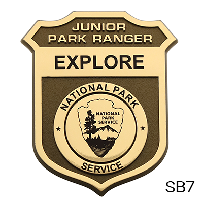 Plastic Badges - Pin or Clip