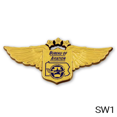 Plastic Badges - Pin or Clip
