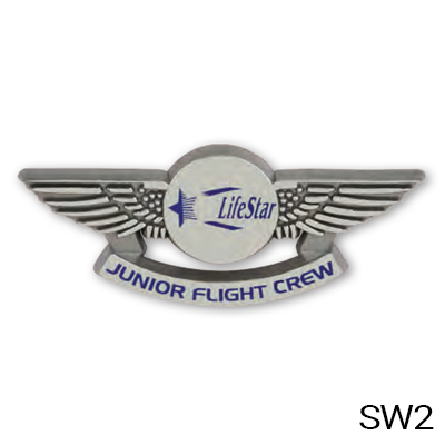 Plastic Badges - Pin or Clip